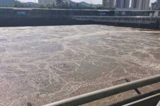 污水处理——脱氮